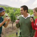 Small Group Wine Tours