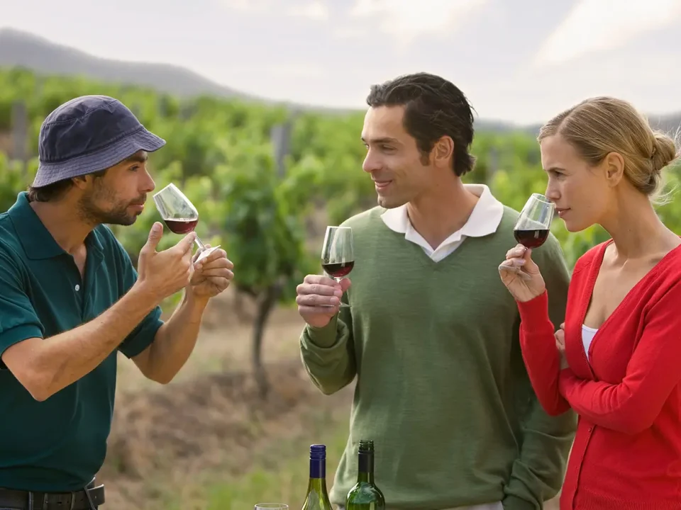 Small Group Wine Tours